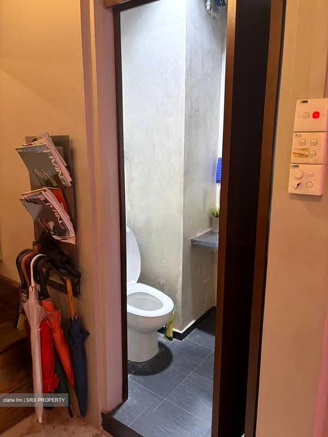 Liang Seah Place (D7), Shop House #621082311